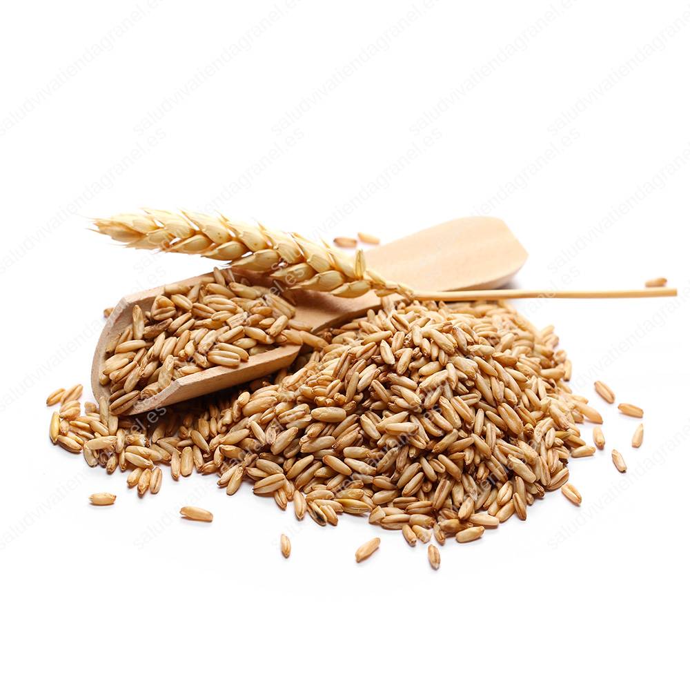 Grano de trigo – ECO – GRANEL - Saludviva Tienda Granel